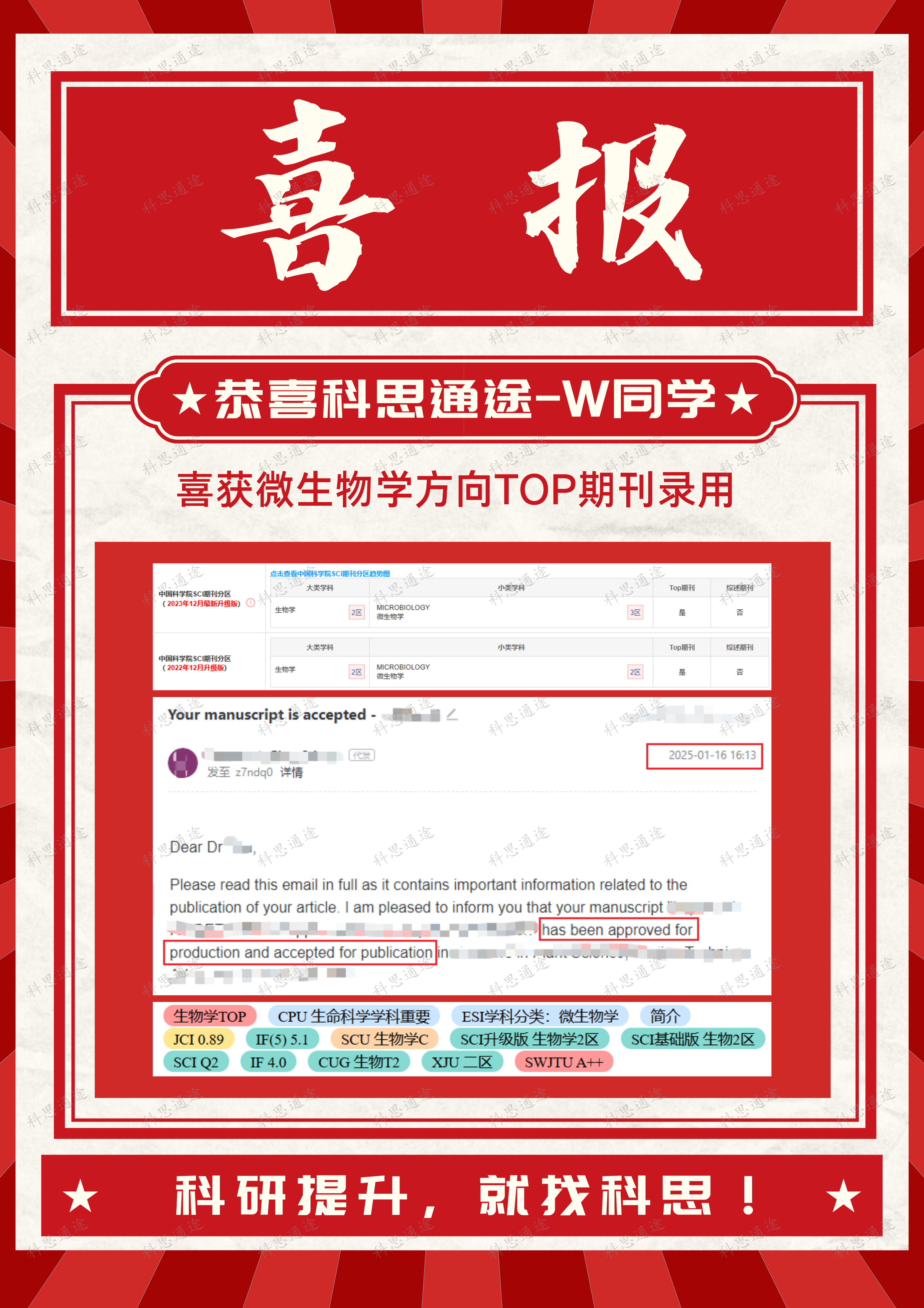 W同学